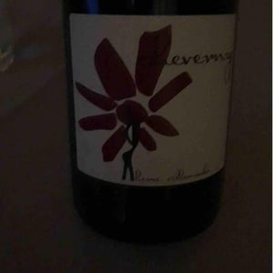 Hervé Villemade - Hervé Villemade - Cheverny (rouge) - Domaine