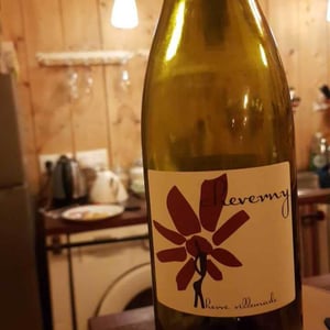 Hervé Villemade - Hervé Villemade - Cheverny (rouge) - Domaine