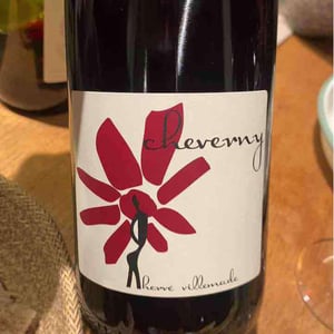 Hervé Villemade - Hervé Villemade - Cheverny (rouge) - Domaine
