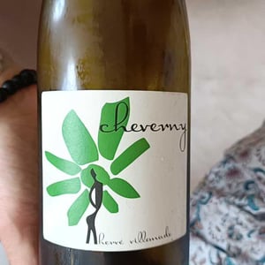 Hervé Villemade - Hervé Villemade - Cheverny (rouge) - Domaine