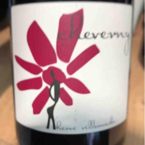 Hervé Villemade - Hervé Villemade - Cheverny (rouge) - Domaine
