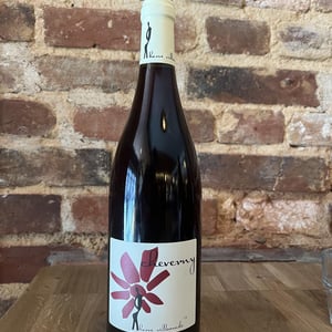 Cheverny (rouge) - Domaine - Hervé Villemade - herve-villemade