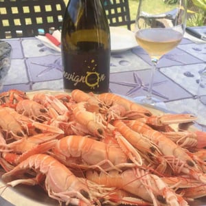 Chevignon - Domaine de la Petite Soeur - Adrien de Mello 