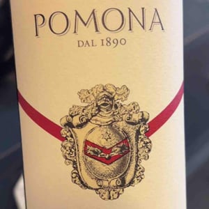 Chianti Classico - Fattoria Pomona - monica-raspi