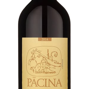 Pacina - Azienda Agricola Pācina - giovanna-tiezzi-stefano-borsa-maria-borsa-carlo-borsa-roberto-maccari-elisa