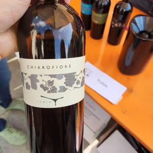 Chiarofiore - Tunia - Francesca di Benedetto & Chiara Innocenti 
