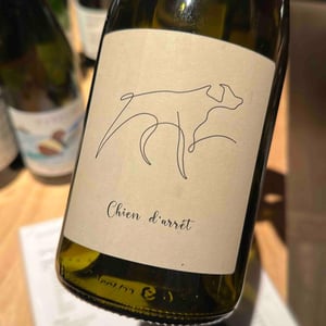 Chien D’arrêt - Axel Domont - Axel Domont 