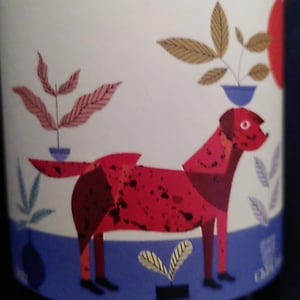 Chien rouge - Frace - Vincent Lafage 