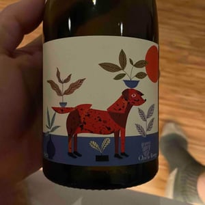 Chien rouge - Frace - vincent-lafage