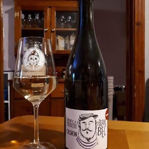 Blanc Bec - Domaine De La Marinière - renaud-boris-desbourdes
