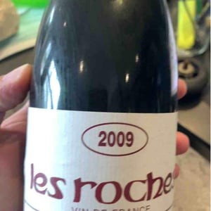 Domaine Les Roches - Alain & Jérôme Lenoir - Chinon Les Roches