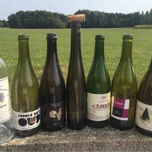 Domaine Les Roches - Alain & Jérôme Lenoir - Chinon Les Roches