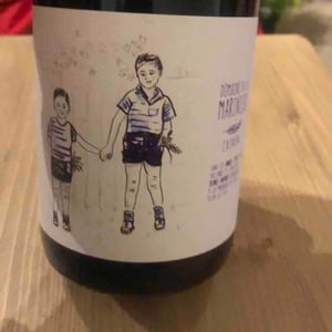 Chinon rouge - Domaine De La Marinière - renaud-boris-desbourdes