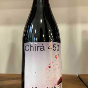 Chirá 450 - Puerta del Viento - Jorge Vega 