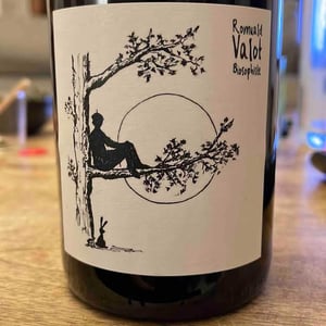 Chiroubles - Les Sauvageons - Cosima and Romuald Valot -2020