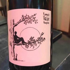 Chiroubles - Les Sauvageons - Cosima and Romuald Valot -2020