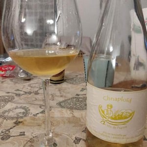 Chnaploïd - Didier Chaffardon - Didier Chaffardon 