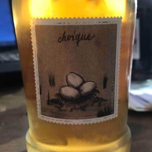 Choique - Stella Crinita - joanna-foster-ernesto-catena -2020