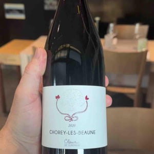 Chorey les Beaune - Clarisse de Suremain - Clarisse de Suremain -2020