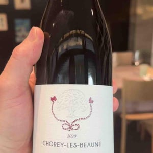 Chorey les Beaune - Clarisse de Suremain - Clarisse de Suremain -2020