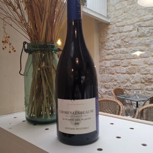 Chorey-les-Beaune, La Plante des Plantes - Uliz - antoine-petitprez -2018
