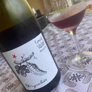Les Sauvageons - Cosima and Romuald Valot - Chrysalide (Primeur)