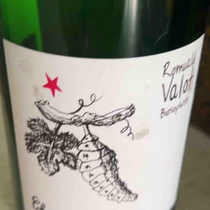 Chrysalide (Primeur) - Les Sauvageons - cosima-and-romuald-valot