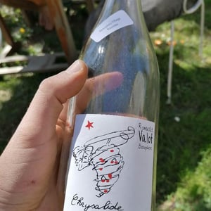 Chrysalide (Primeur) - Les Sauvageons - cosima-and-romuald-valot