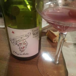 Les Sauvageons - Cosima and Romuald Valot - Chrysalide (Primeur)