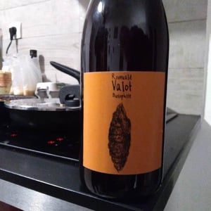 Les Sauvageons - Cosima and Romuald Valot - Chrysalide (Primeur)