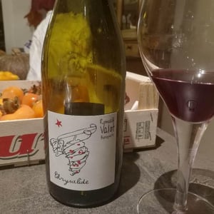 Les Sauvageons - Cosima and Romuald Valot - Chrysalide (Primeur)