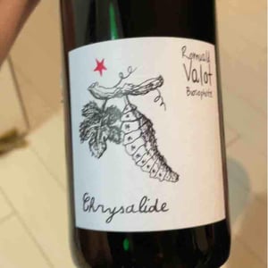 Les Sauvageons - Cosima and Romuald Valot - Chrysalide (Primeur)