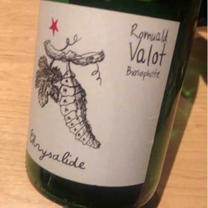 Les Sauvageons - Cosima and Romuald Valot - Chrysalide (Primeur)