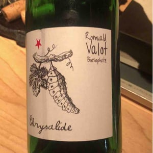 Les Sauvageons - Cosima and Romuald Valot - Chrysalide (Primeur)