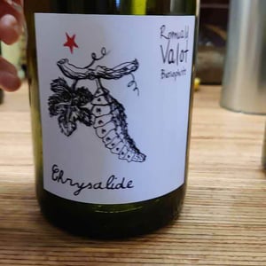 Les Sauvageons - Cosima and Romuald Valot - Chrysalide (Primeur)