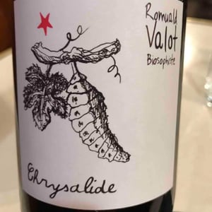 Les Sauvageons - Cosima and Romuald Valot - Chrysalide (Primeur)