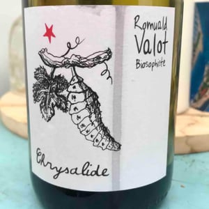 Les Sauvageons - Cosima and Romuald Valot - Chrysalide (Primeur)
