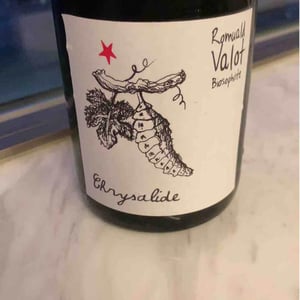 Les Sauvageons - Cosima and Romuald Valot - Chrysalide (Primeur)