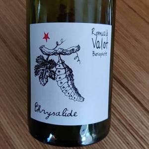 Les Sauvageons - Cosima and Romuald Valot - Chrysalide (Primeur)