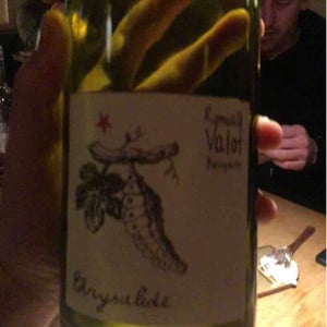 Chrysalide (Primeur) - Les Sauvageons - Cosima and Romuald Valot 