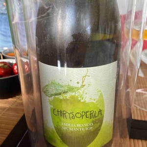 Chrysoperla - Podere Cervarola - Andrea Della Casa -2020