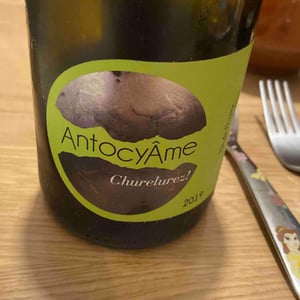 AntocyÂme - Muriel Zoldan - Churelurez!