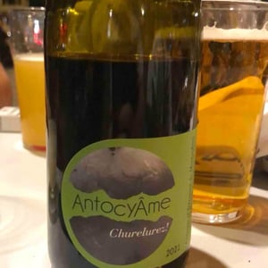 Churelurez! - AntocyÂme - Muriel Zoldan 