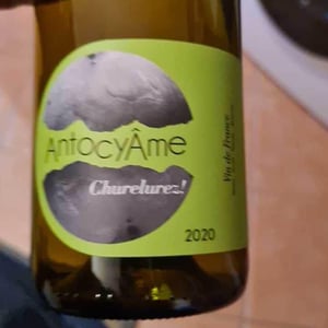 Churelurez! - AntocyÂme - Muriel Zoldan 