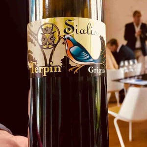 Azienda Agricola Franco Terpin - Franco Terpin - Sialis Grigio