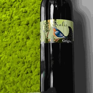 Sialis Grigio - Azienda Agricola Franco Terpin - Franco Terpin 