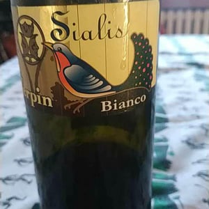 Sialis Grigio - Azienda Agricola Franco Terpin - Franco Terpin 