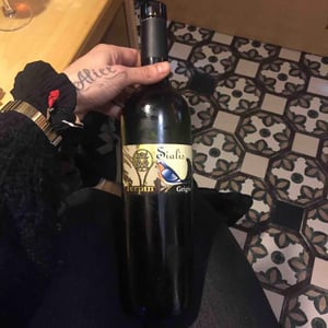 Azienda Agricola Franco Terpin - Franco Terpin - Sialis Grigio