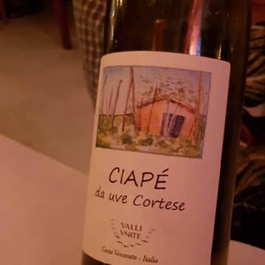 Ciapé da uve cortese - Costa Vescovato - valli-vnite