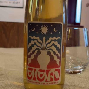 Ciclo Vinho Curtimenta - Ciclo Vinhos - joachim-roque-hugo-campos-ana-paulino -2022